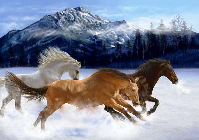 Galloping trio, gallop, snow, winter, horses, HD wallpaper