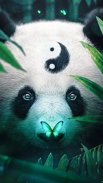 Cute Panda Bears Live Wallpaper for your Mobile Screen - free download