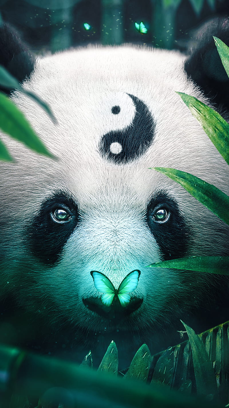 Mystic Panda, animal, butterfly, greens