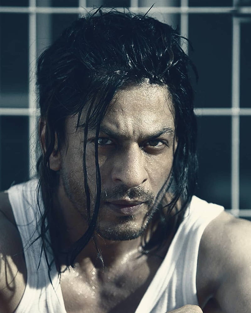 Don 2, Bollywood movie, SRK, HD phone wallpaper | Peakpx
