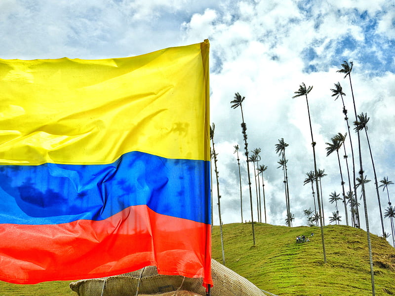 colombia , flag, valledecocora, landscape, montain, palma, sky, HD wallpaper