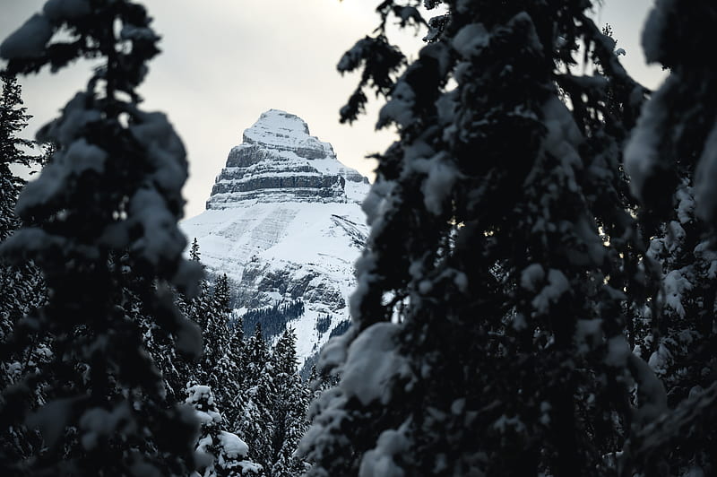 Mountain, peak, snow, trees, landscape, HD wallpaper | Peakpx