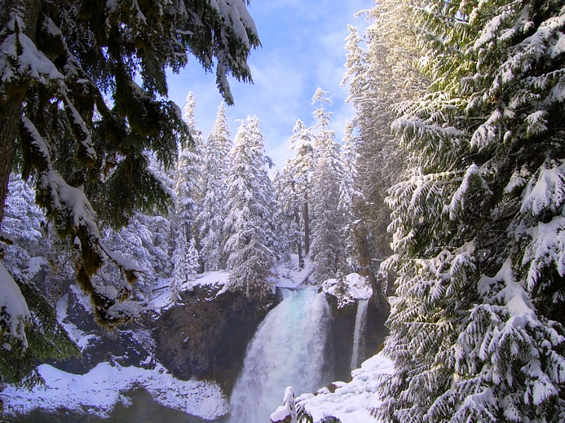 Sahalie Falls, snow, trees, winter, waterfalls, cold, HD wallpaper | Peakpx