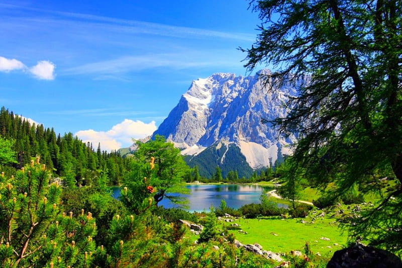 Tirol, Austria, Alps, forest, grass, bonito, clouds, lake, meadows, mountains, summer, HD wallpaper