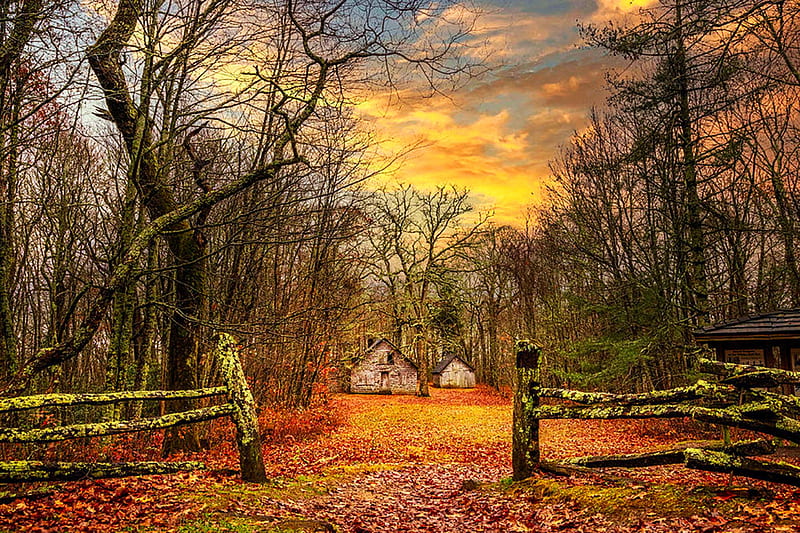 Cabins near Appalachian Trail, North Carolina, mountains, fence, usa, colors, trees, sky, HD wallpaper