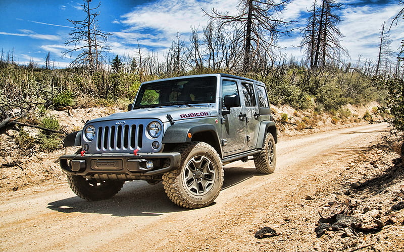 Jeep Wrangler Rubicon, forest, offroad, 2020 cars, SUVs, 2020 Jeep Wrangler, american cars, Jeep, HD wallpaper