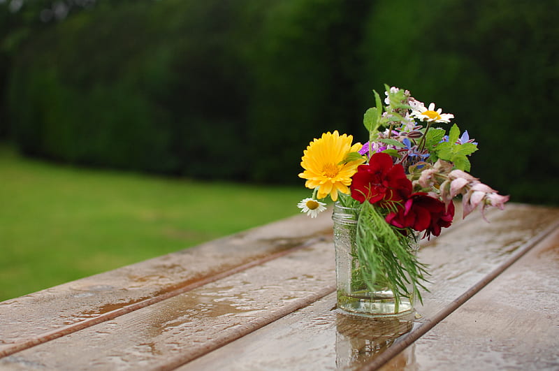 yellow and red petaled flowers in glass vase, HD wallpaper