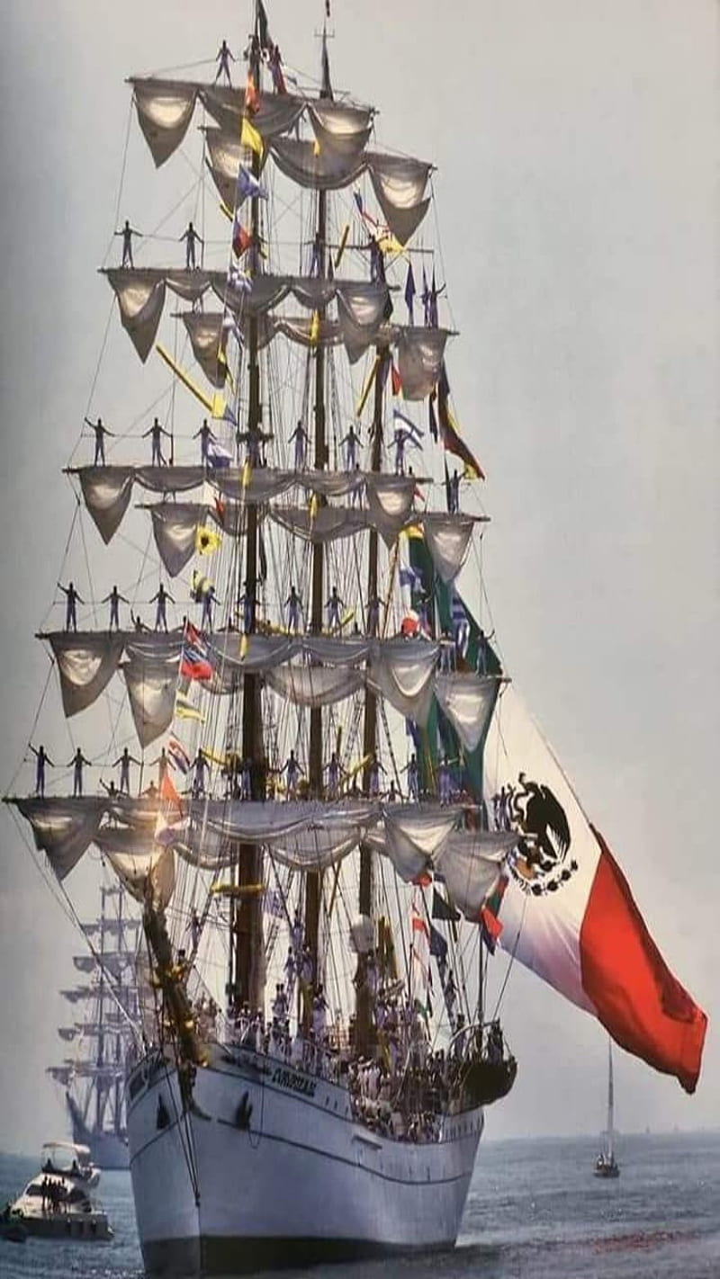 Marina mexicana, bandera, armas, méjico, militar, mar, Fondo de pantalla de  teléfono HD | Peakpx