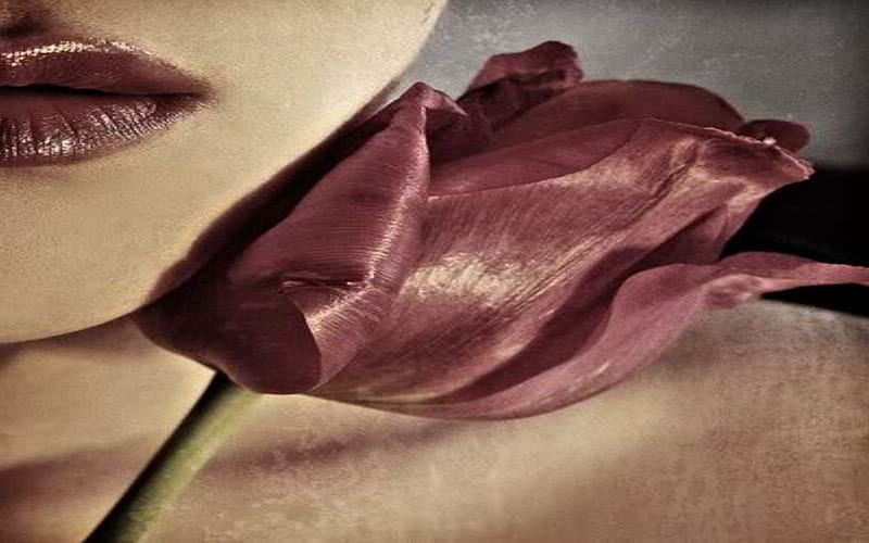 Velvet Rose, rose, velvet, flower, face, collages, lips, abstract, women, HD wallpaper