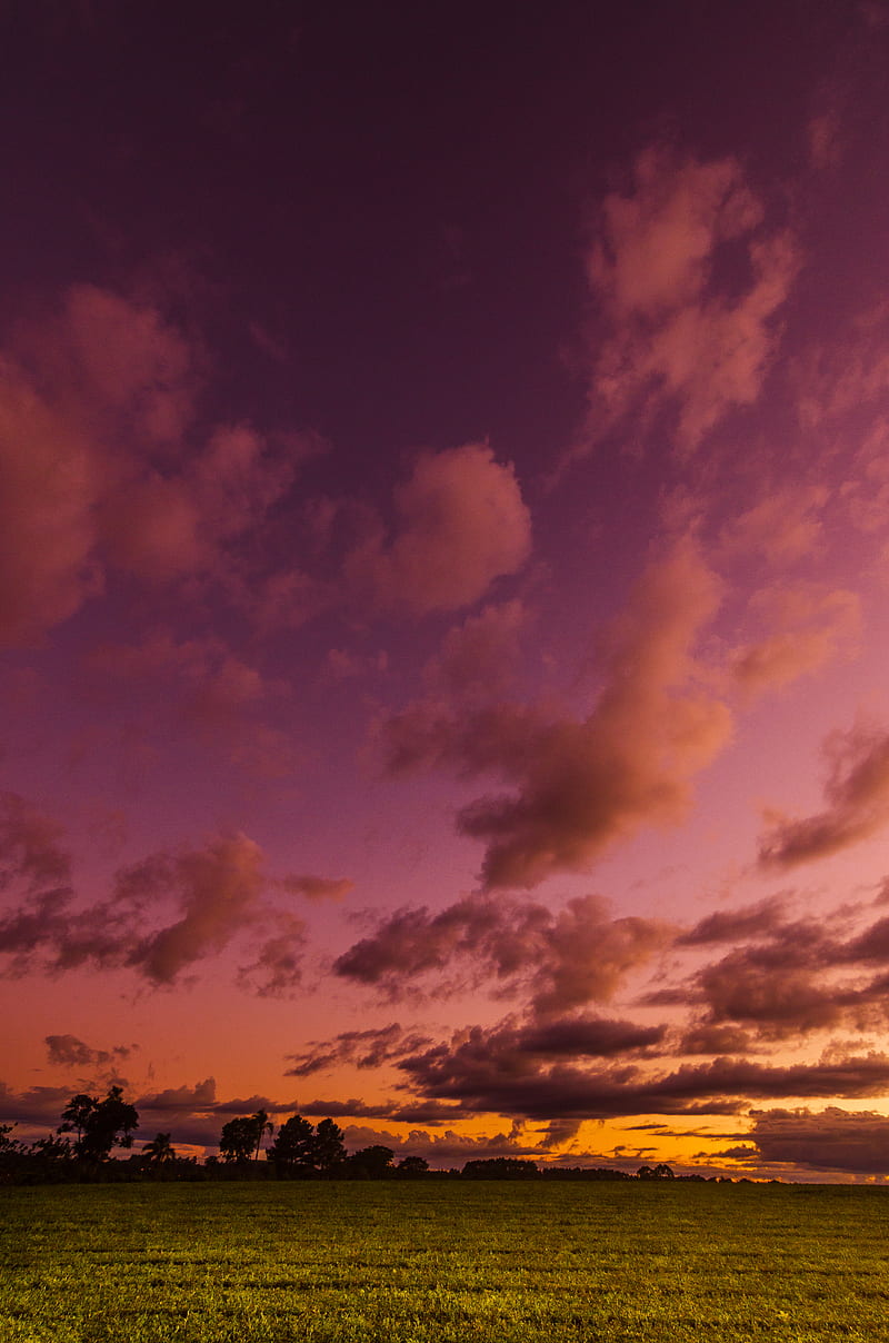 field, twilight, landscape, trees, sky, clouds, HD phone wallpaper
