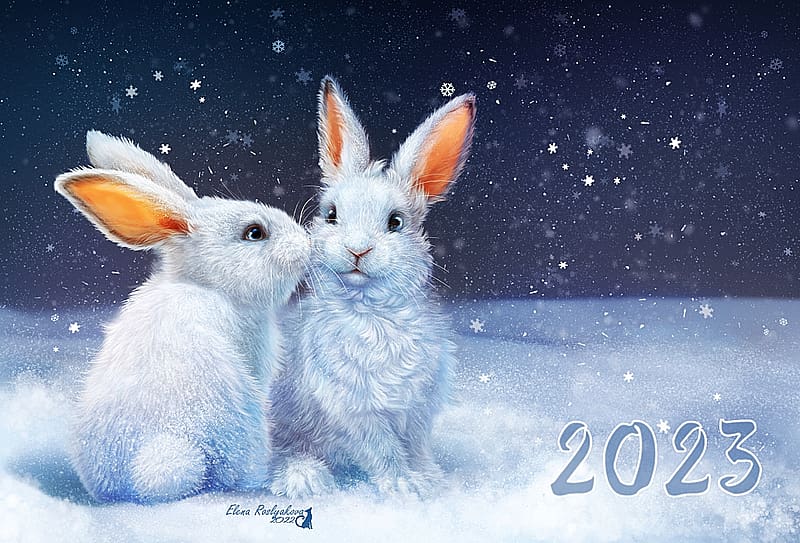 Year of the Rabbit, blue, winter, frumusete, white, gorgeous, elena roslyakova, alenaekaterinburg, 2023, bunny, iarna, snow, couple, chinese zodiac, card, rabbit, superb, HD wallpaper