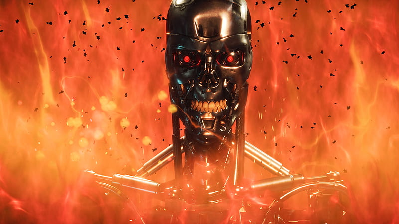MK11 Terminator, arnold schwarzenegger, mortal kombat 11, movie, victory, HD wallpaper