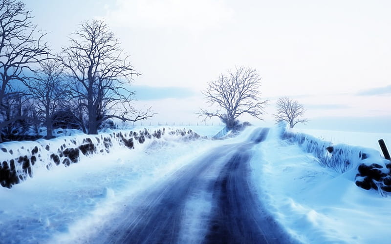 Winter Powder Road, Powdery, White, Snow, Roads, Nature, Winter, HD wallpaper