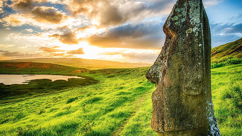 moai on easter island r, statue, grass, r, sunset, island, bay, meadow, HD wallpaper