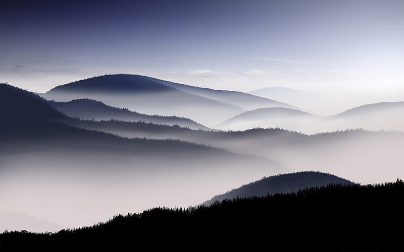 fog-Mountain scenery, HD wallpaper