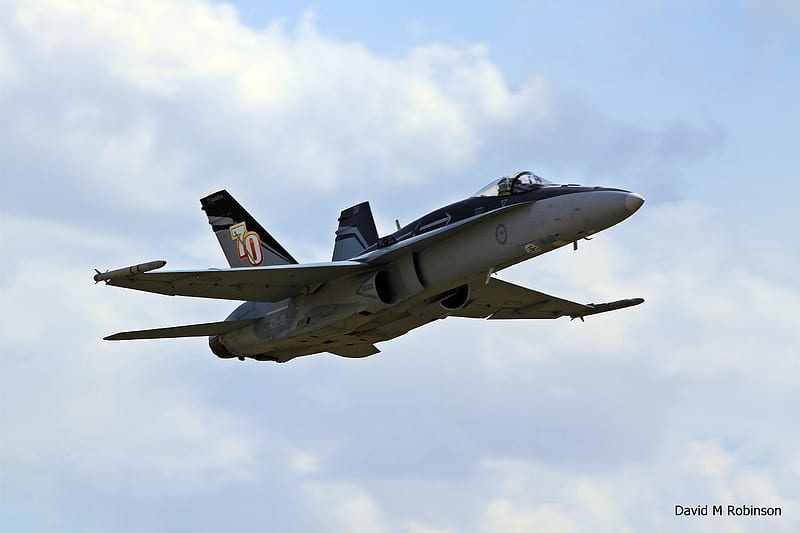 ‎ f-18 hornet, airshow, f-18, temora warbirds, australian, raaf, HD wallpaper