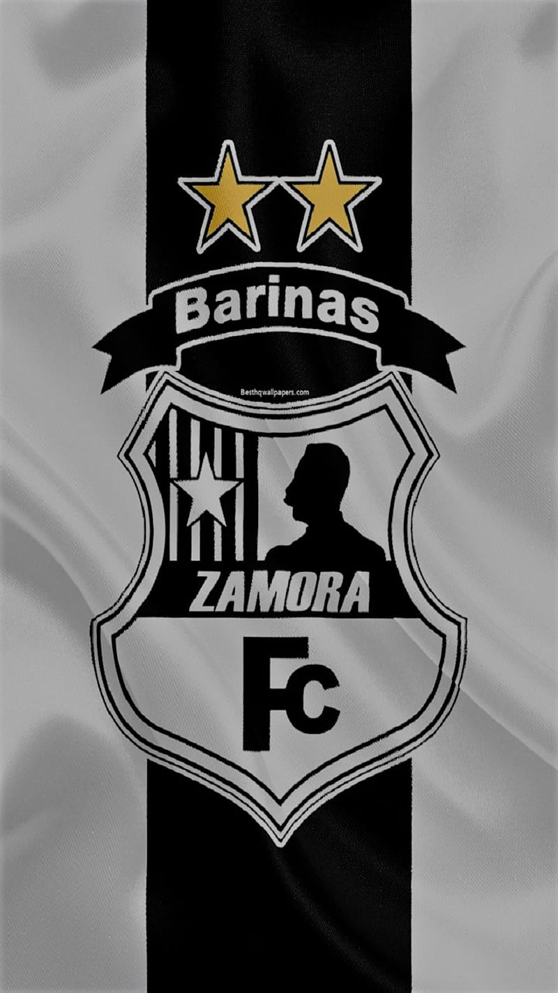 Zamora Fc logo, barinas, burra, club, football, football, fvf, soccer,  venezuela, HD phone wallpaper | Peakpx
