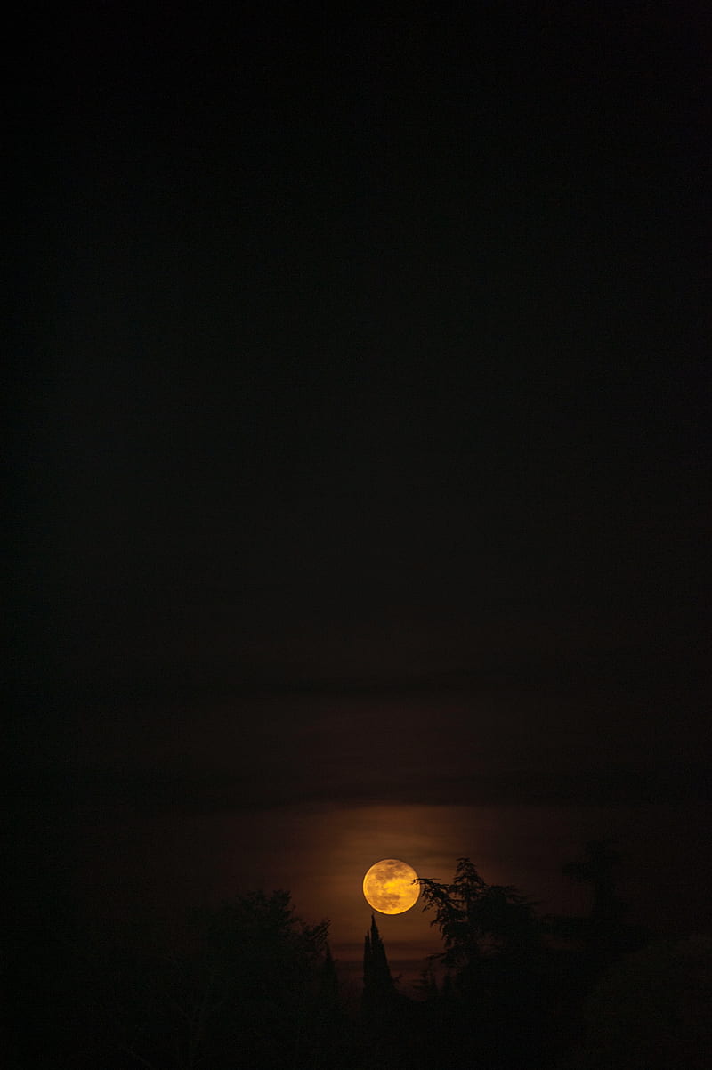 moon, full moon, night, sky, darkness, HD phone wallpaper