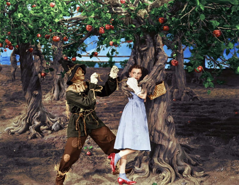 Talking Trees, Trees, Apples, Talking, Scarecrow, Wiard, Movie, Dorothy, Oz, HD wallpaper