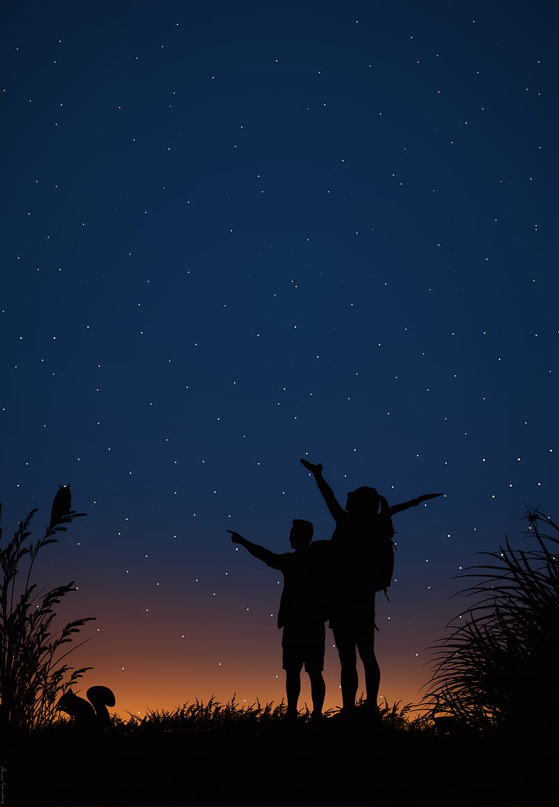 girl, grass, love, man, night, stars, sunset, together, wild, HD phone wallpaper
