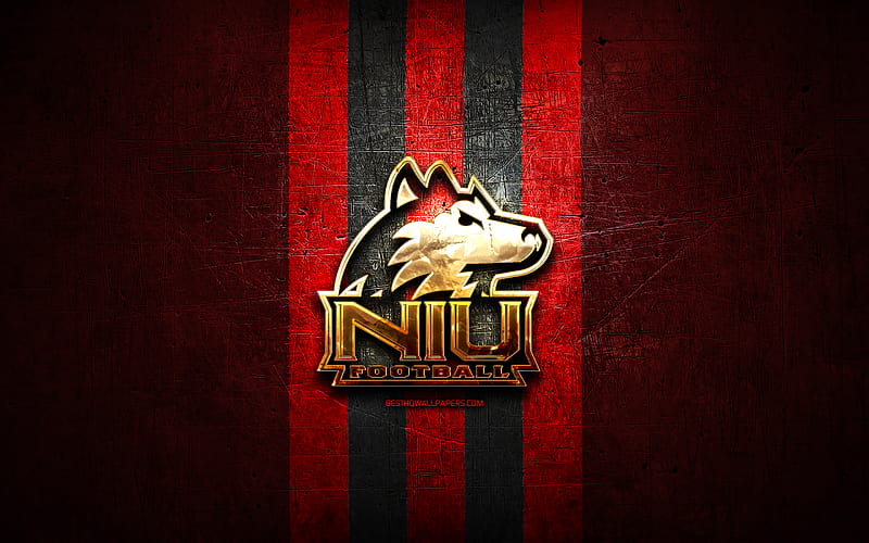 Northern Illinois Huskies, golden logo, NCAA, red metal background, american football club, Northern Illinois Huskies logo, american football, USA, HD wallpaper