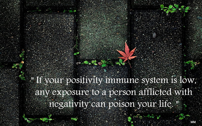 Immune System, Words, Black, Thoughts, Flowers, Nature, Quotes, HD wallpaper