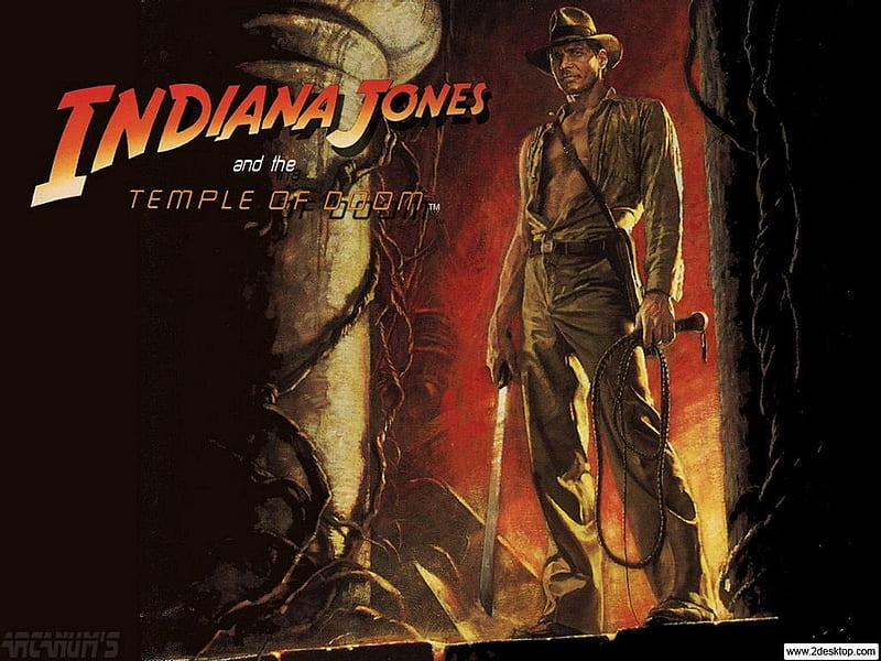 indiana jones and the temple of doom, whip, harrison ford, vines, swoprd, pillar, HD wallpaper