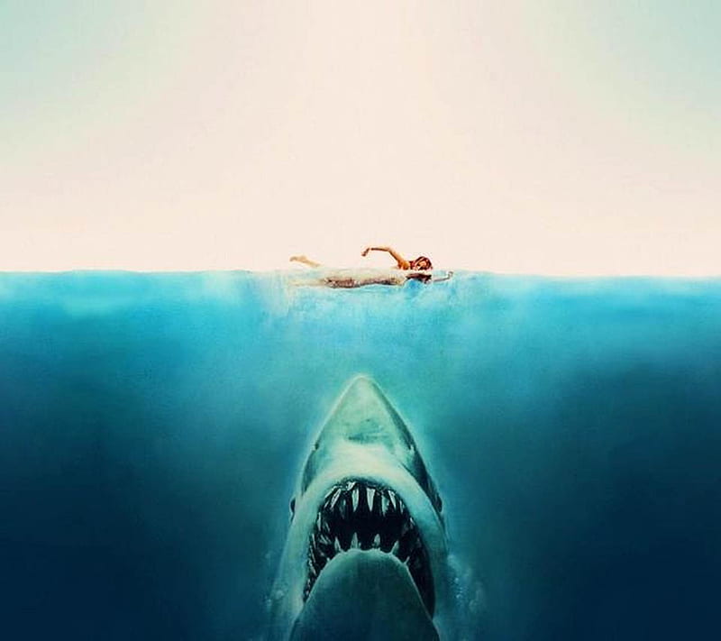 Jaws, cool, nature, shark, HD wallpaper