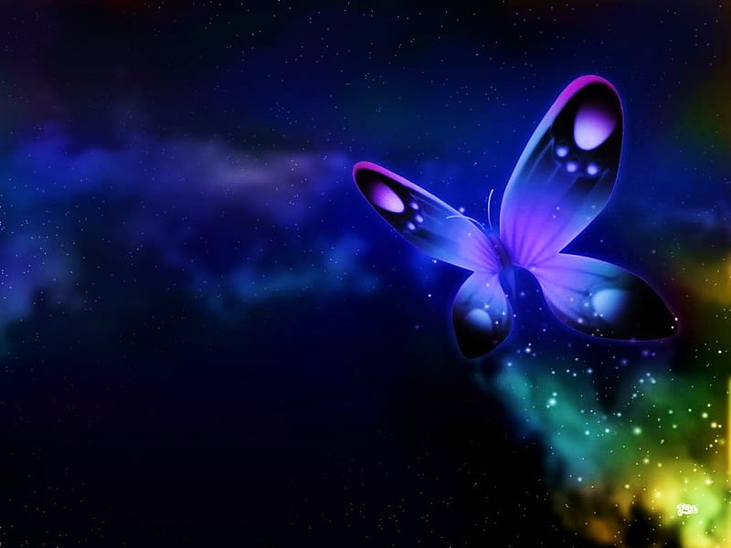Butterfly flight, butterfly, purple, flight, sky, pink, blue, HD wallpaper
