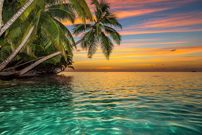Caribbean sunset, rest, vacation, exotic, ocean, sunset, sky, palms, sea, caribbean, water, paradise, summer, tropics, reflection, HD wallpaper