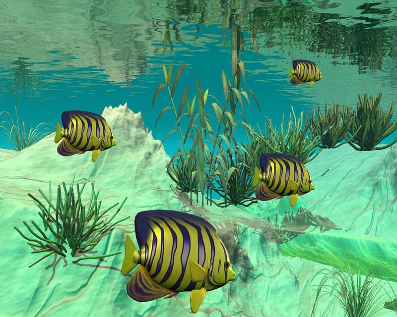 Outstanding_3D_Fish_Tank, water, abstract, fish, plants, HD wallpaper |  Peakpx