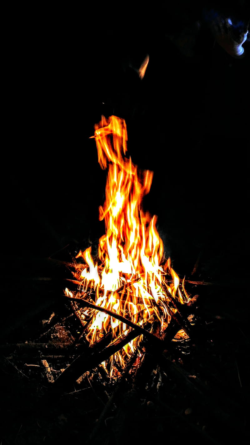 Bonfire night, camp, fire, forest, mountain, nature, sarv, HD phone ...