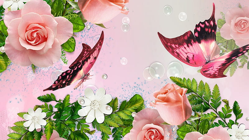 Loving Pink, flowers, dew, butterflies, spring, roses, butterfly, ferns, summer, bubbles, papillon, flowers, pearls, pink, HD wallpaper