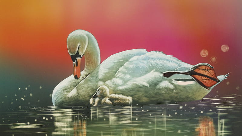 Swan and Her Baby, gentleness, art, Swan, colorful, water, Cygnet, digital, baby, serene, HD wallpaper