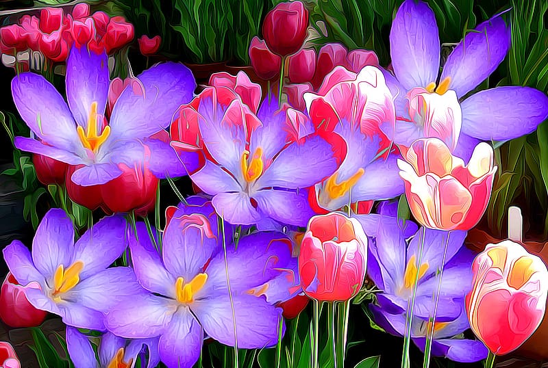 Flowers, Flower, Painting, Artistic, Tulip, Crocus, Purple Flower, Pink ...