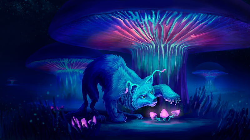 Cheshire cat galaxy mushroom mushrooms neon pot purple rainbow HD  phone wallpaper  Peakpx