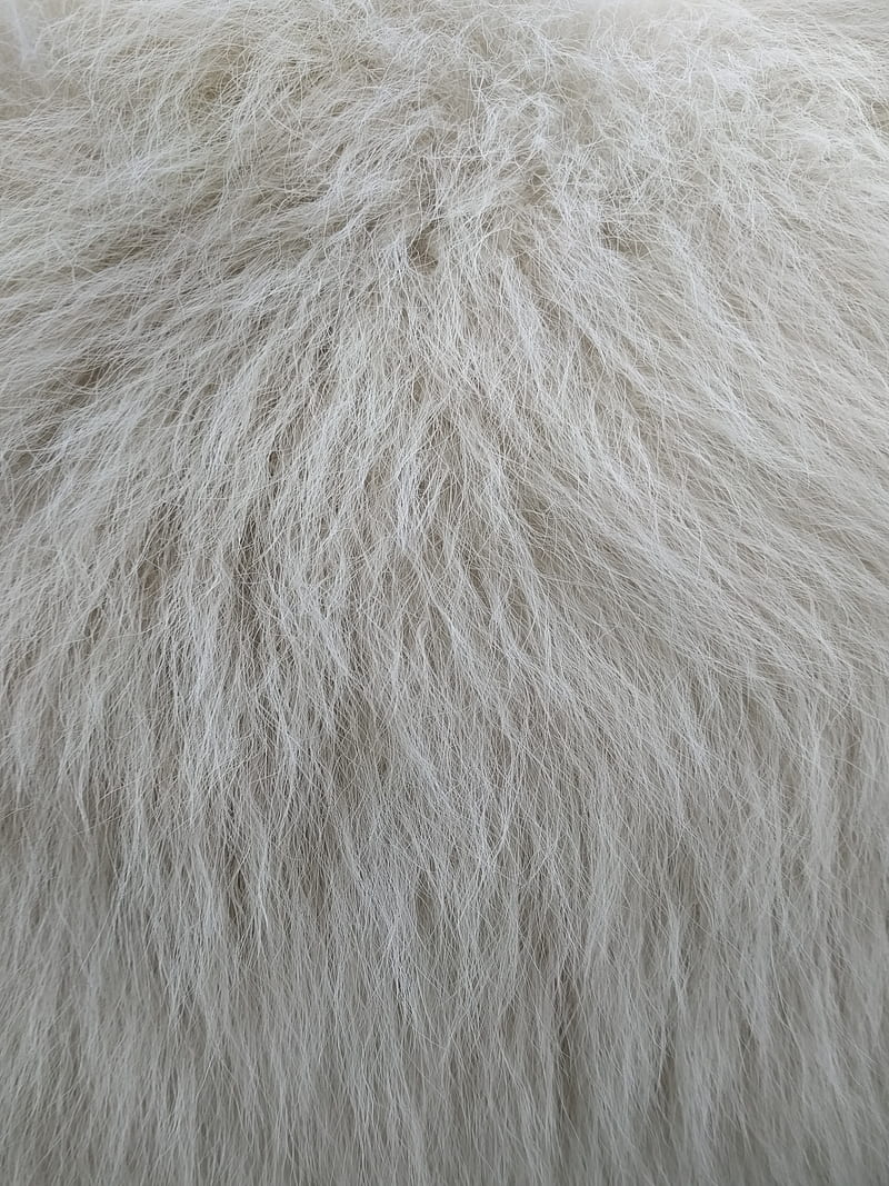 Fur, texture, white, HD phone wallpaper