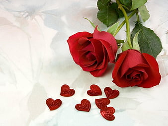 Love roses, alone, feelings, gift, heart, love, moments, rain