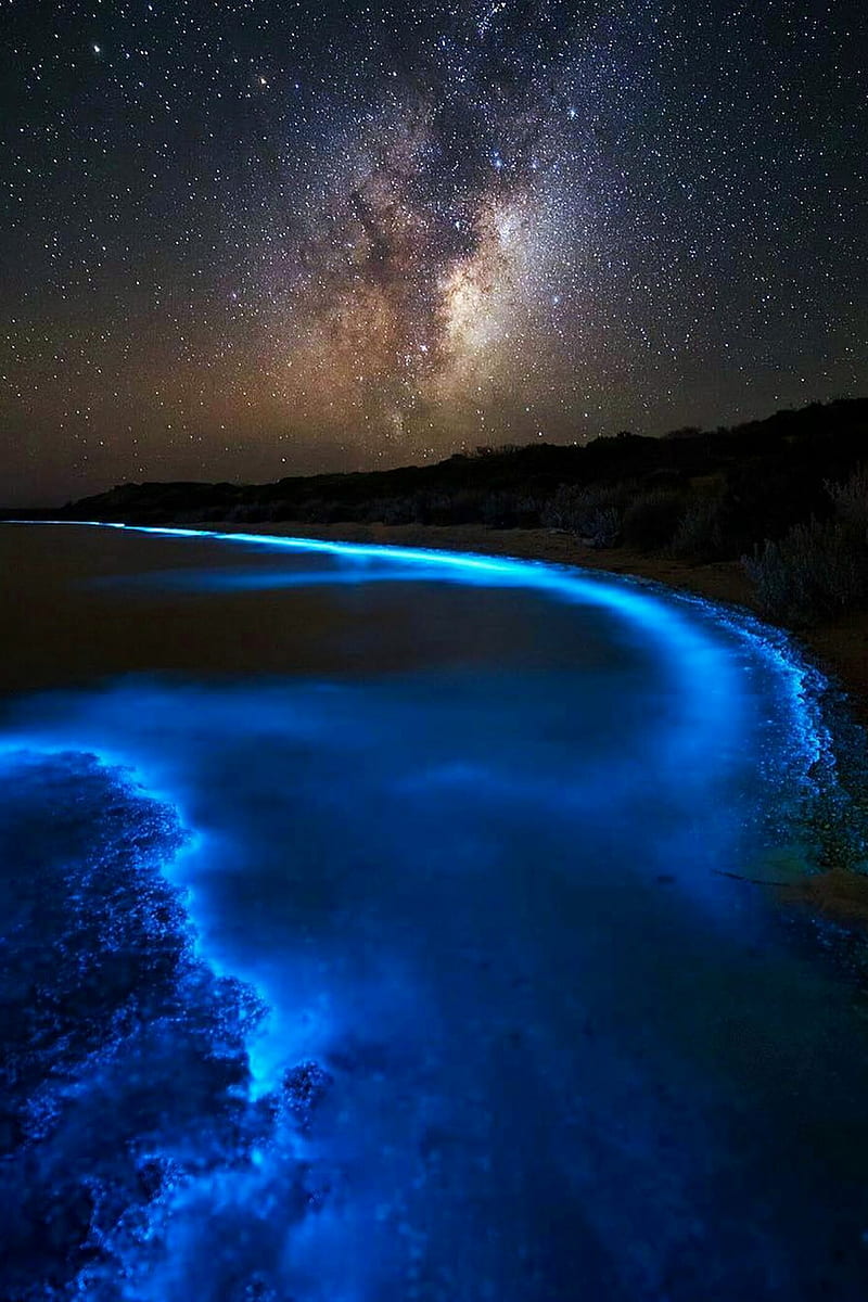 Bioluminescence , beach, blue, fluorescence, nature, night, ocean, HD phone wallpaper