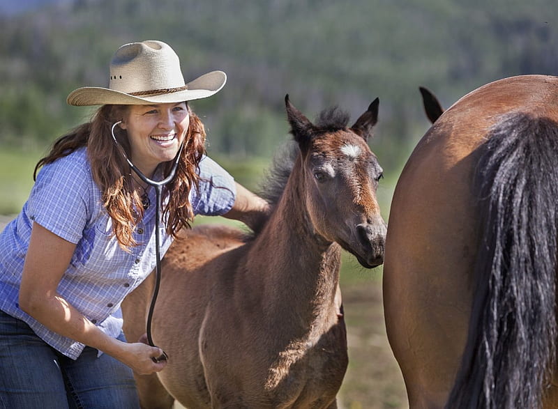 Cowgirl Veterinarian, Woman, Smile, Hat, Foal, Loving, Brown, Cowgirl, bonito, Caring, Horse, Stethoscope, HD wallpaper