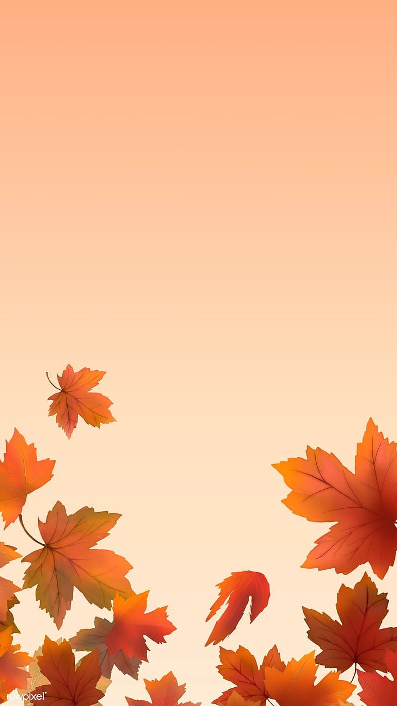 Red maple leaf framed background illustration. / wodn2080. Autumn leaves , Fall , Leaf background, Autumn Drawing, HD phone wallpaper
