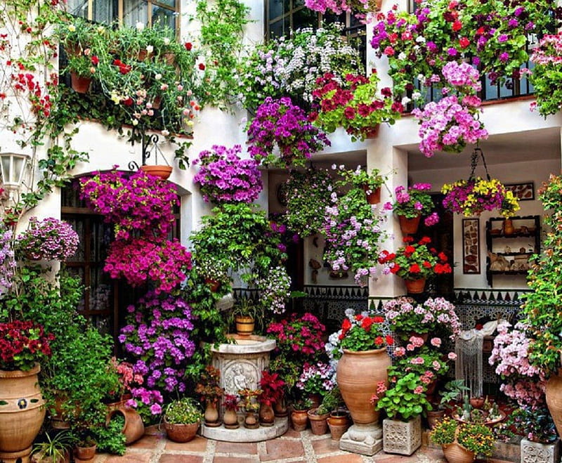 Patio de Flores, architecture, patio, house, flower garden, HD wallpaper