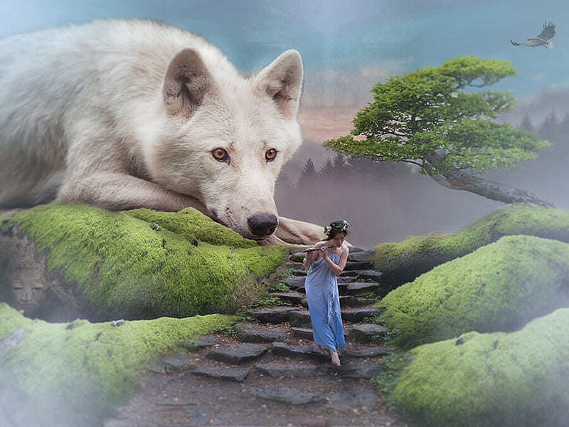 The white wolf and the girl, cyrus rouhani, fantasy, instrument, girl, flute, wolf, white, blue, giant, HD wallpaper