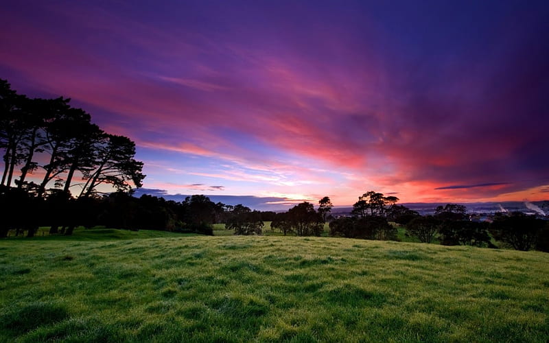 Beautiful morning, sky, trees, clouds, grass, HD wallpaper | Peakpx