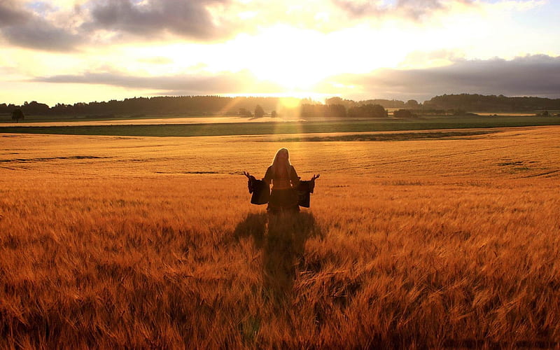 happy woman in golden wheat field-Summer landscape, HD wallpaper