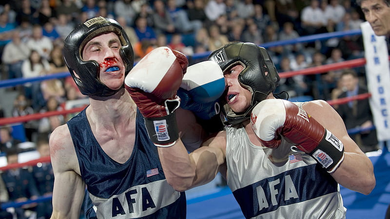 Man With Boxing Glove Is Punching Another Man Boxing, HD wallpaper