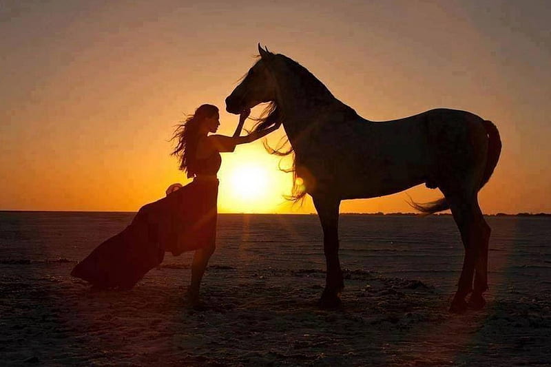 bonito, model, Girl, Woman, sunset, horse, sexy, HD wallpaper