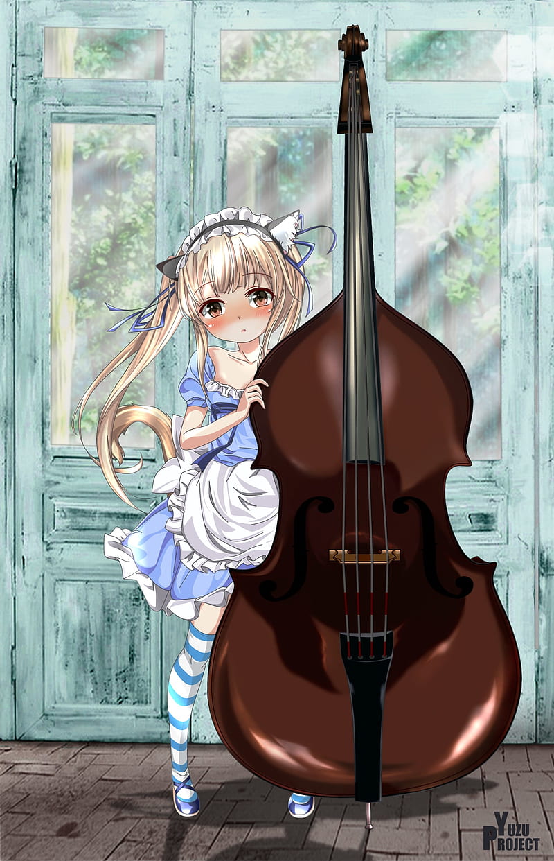 neko, maid, double bass, musical instrument, anime, HD phone wallpaper