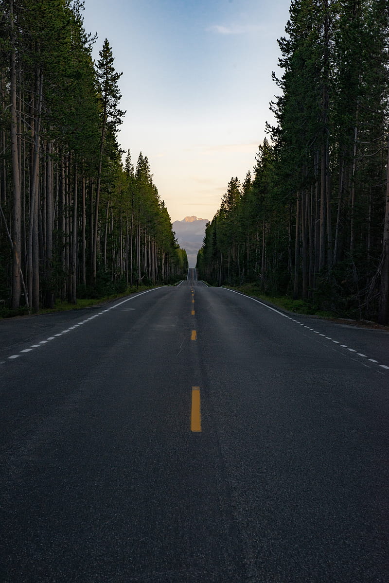 road, trees, mountain, peak, nature, HD phone wallpaper