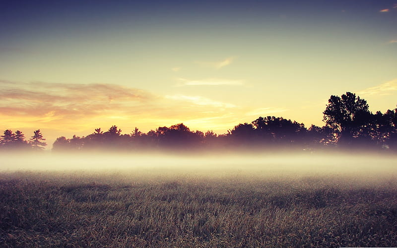 morning mist-Beautiful natural scenery, HD wallpaper
